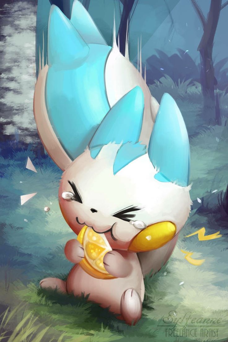pachirisu